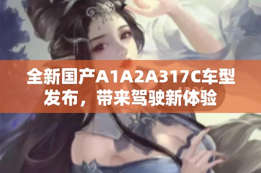 全新国产A1A2A317C车型发布，带来驾驶新体验