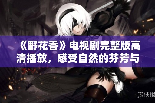《野花香》电视剧完整版高清播放，感受自然的芬芳与暖情