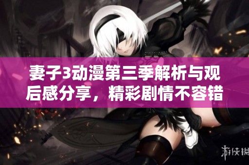 妻子3动漫第三季解析与观后感分享，精彩剧情不容错过