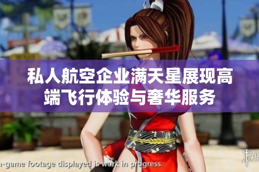 私人航空企业满天星展现高端飞行体验与奢华服务