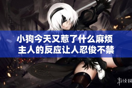 小狗今天又惹了什么麻烦 主人的反应让人忍俊不禁