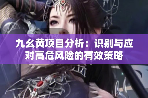 九幺黄项目分析：识别与应对高危风险的有效策略
