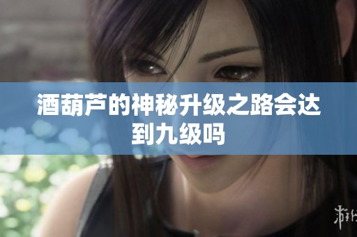酒葫芦的神秘升级之路会达到九级吗