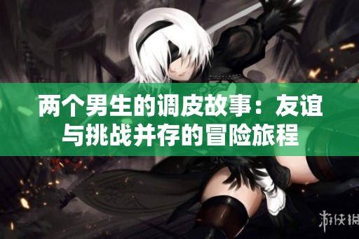两个男生的调皮故事：友谊与挑战并存的冒险旅程