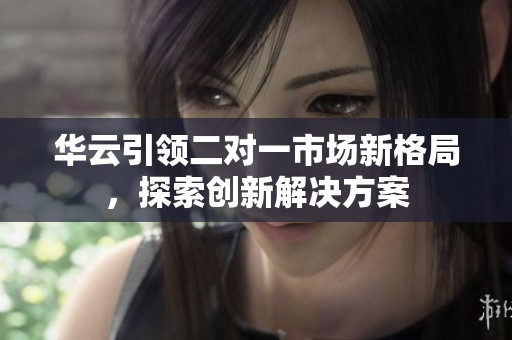 华云引领二对一市场新格局，探索创新解决方案