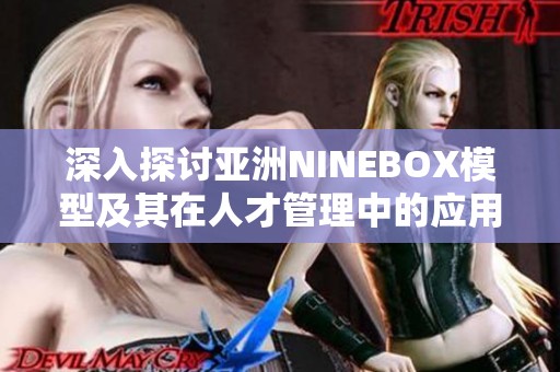 深入探讨亚洲NINEBOX模型及其在人才管理中的应用