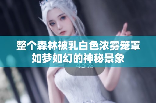 整个森林被乳白色浓雾笼罩如梦如幻的神秘景象