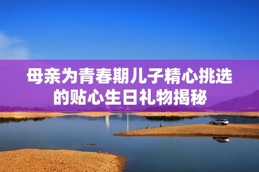 母亲为青春期儿子精心挑选的贴心生日礼物揭秘
