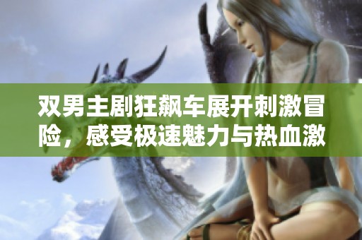 双男主剧狂飙车展开刺激冒险，感受极速魅力与热血激情