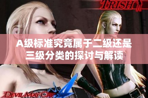 A级标准究竟属于二级还是三级分类的探讨与解读