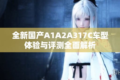 全新国产A1A2A317C车型体验与评测全面解析