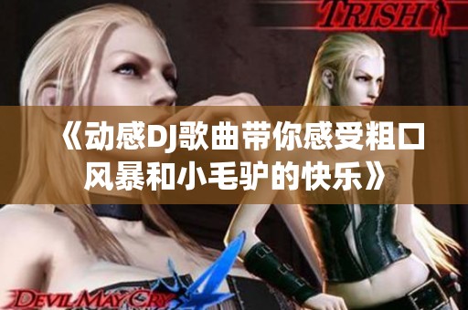 《动感DJ歌曲带你感受粗口风暴和小毛驴的快乐》