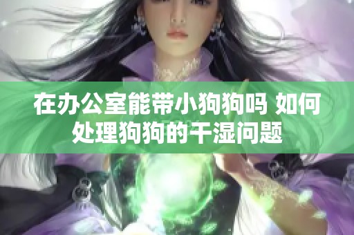 在办公室能带小狗狗吗 如何处理狗狗的干湿问题