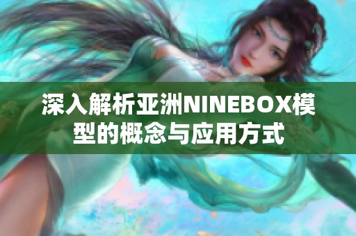 深入解析亚洲NINEBOX模型的概念与应用方式