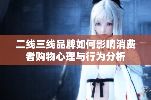 二线三线品牌如何影响消费者购物心理与行为分析