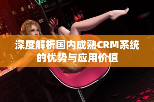 深度解析国内成熟CRM系统的优势与应用价值