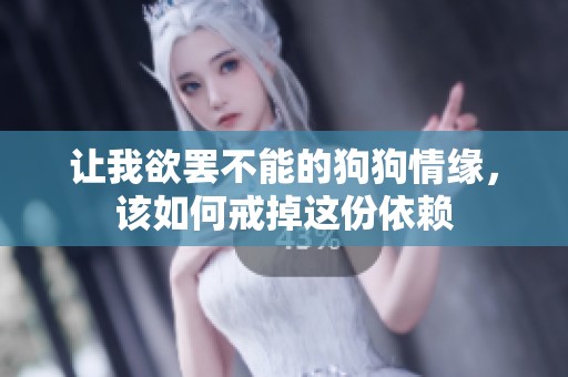 让我欲罢不能的狗狗情缘，该如何戒掉这份依赖